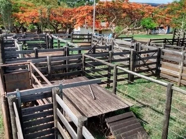 Imagem 4: Chácara de 09 Alqueires em Goianápolis-Go