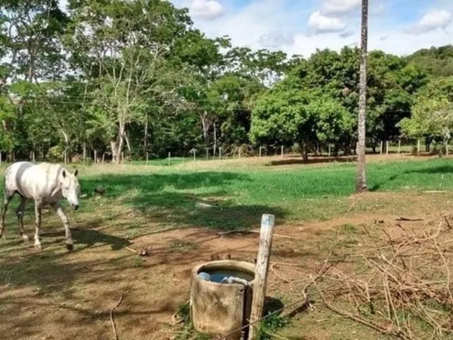 Imagem 12: Chácara de 09 Alqueires em Goianápolis-Go