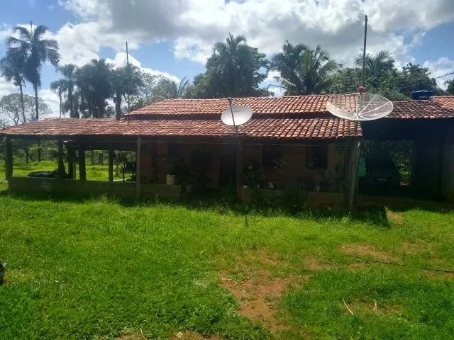 Imagem: Sítio Hidrolândia Goiás Terra 3.5 Alqueires