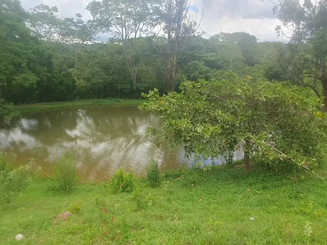 Imagem: Bomfinopolis 5 Algueiro na Beira da Go 600