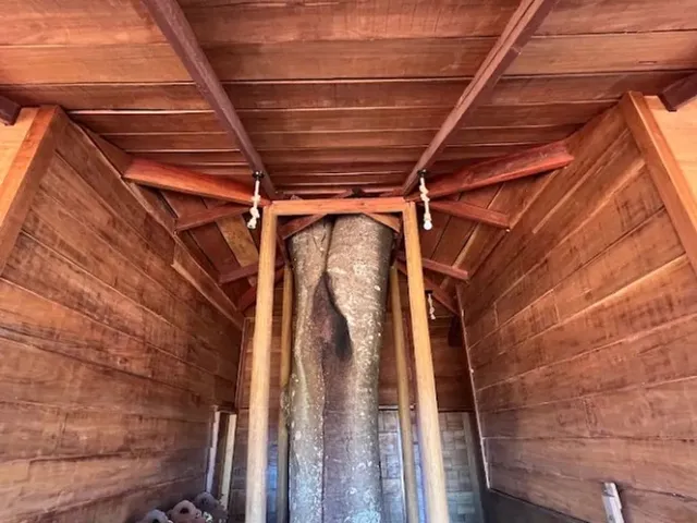 Imagem 9: Chácara 2000M², Casa de Madeira, 3Q, Área Gourmet, Piscina, Tanque Peixe, Aragoiânia
