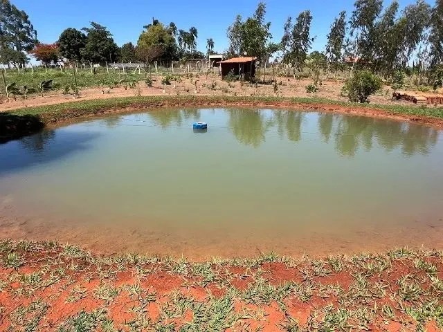 Imagem 5: Chácara 2000M², Casa de Madeira, 3Q, Área Gourmet, Piscina, Tanque Peixe, Aragoiânia