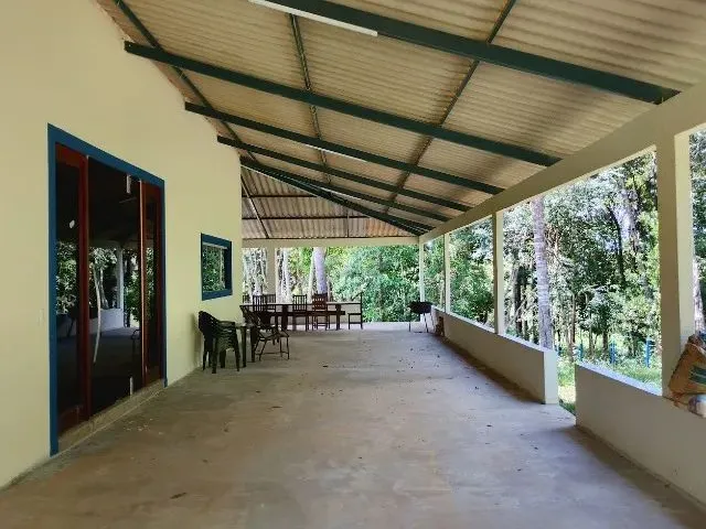 Imagem 15: Chácara 5000M², Casa 3Q, Varanda, Pomar, Cercada, Tanque Peixe, Córrego, Aragoiânia