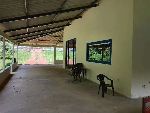 Imagem 8: Chácara 5000M², Casa 3Q, Varanda, Pomar, Cercada, Tanque Peixe, Córrego, Aragoiânia