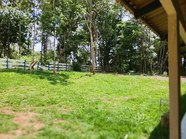 Imagem 9: Chácara 5000M², Casa 3Q, Varanda, Pomar, Cercada, Tanque Peixe, Córrego, Aragoiânia