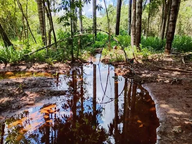 Imagem 13: Chácara 5000M², Casa 3Q, Varanda, Pomar, Cercada, Tanque Peixe, Córrego, Aragoiânia