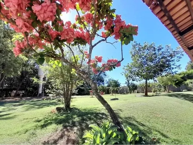 Imagem: A Venda Chácara em Nova Veneza 5.000M²