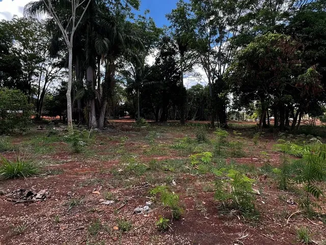 Imagem: Ágio Lote Condomínio Fechado Pinheiros