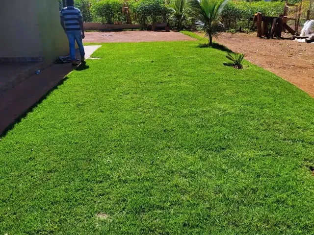 Imagem 10: Chácara 2000 Metros Goianápolis
