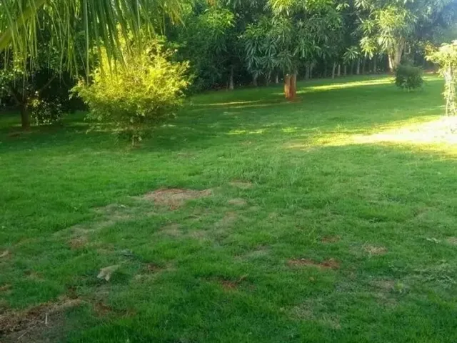 Imagem 13: Chácara para Venda em Setor Central Nova Veneza-Go