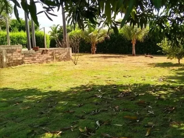 Imagem 4: Chácara para Venda em Setor Central Nova Veneza-Go