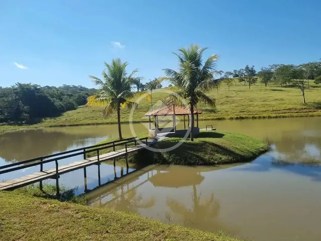 Imagem: Paraíso Rural Entre Bonfinópolis e Caldazinha