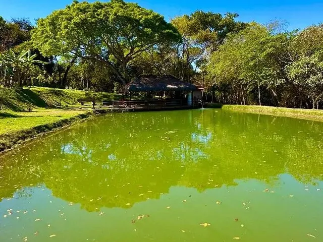 Imagem 2: Chácara 20 Mil Metros Aragoiânia