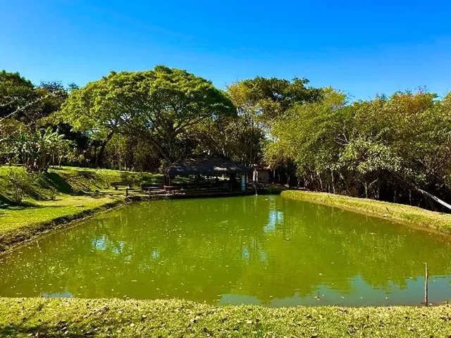 Imagem 15: Chácara 20 Mil Metros Aragoiânia