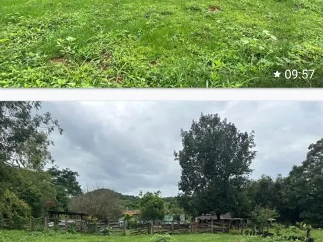 Imagem 3: Ótima Chácara Chácara com venda por R$2.000.000