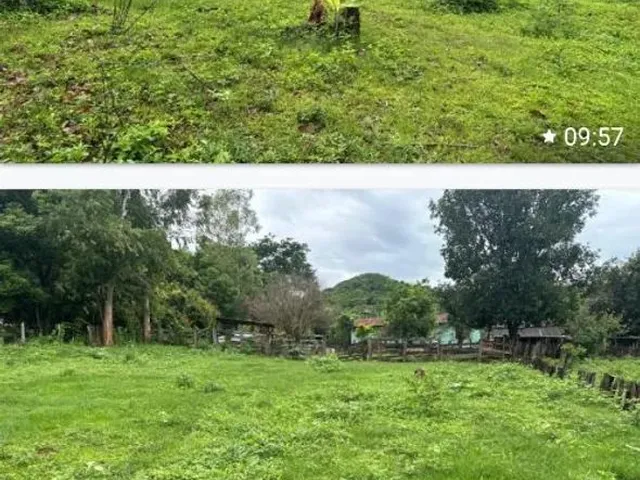 Imagem 4: Ótima Chácara Chácara com venda por R$2.000.000