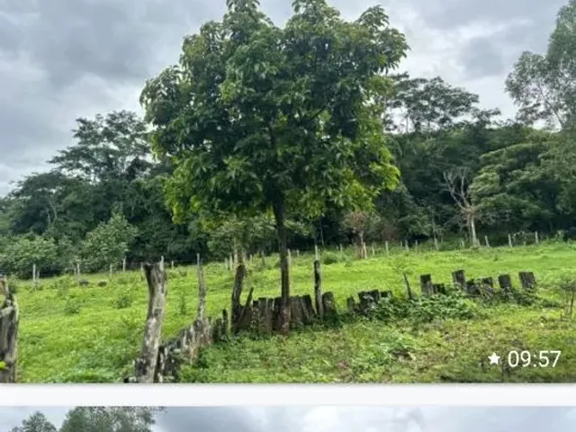 Imagem 5: Ótima Chácara Chácara com venda por R$2.000.000