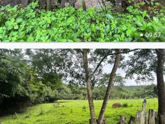 Imagem 6: Ótima Chácara Chácara com venda por R$2.000.000