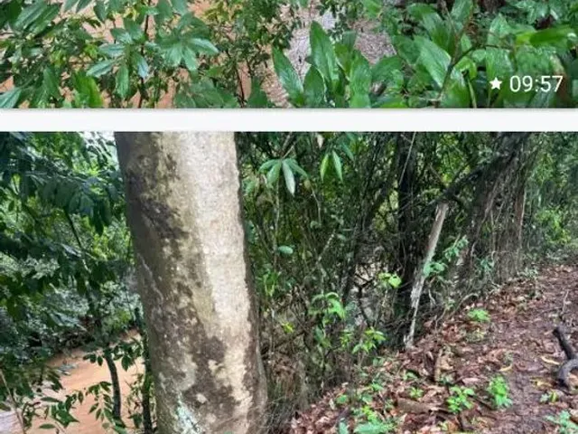 Imagem 8: Ótima Chácara Chácara com venda por R$2.000.000