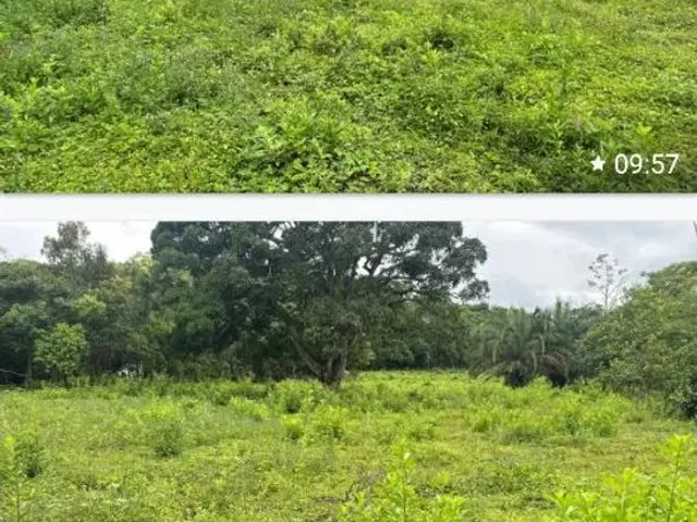 Imagem 9: Ótima Chácara Chácara com venda por R$2.000.000