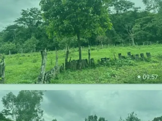 Imagem 10: Ótima Chácara Chácara com venda por R$2.000.000