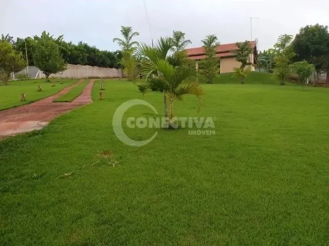 Imagem 7: Rural Fazenda / sítio com 3 dormitórios