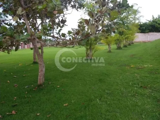 Imagem 10: Rural Fazenda / sítio com 3 dormitórios