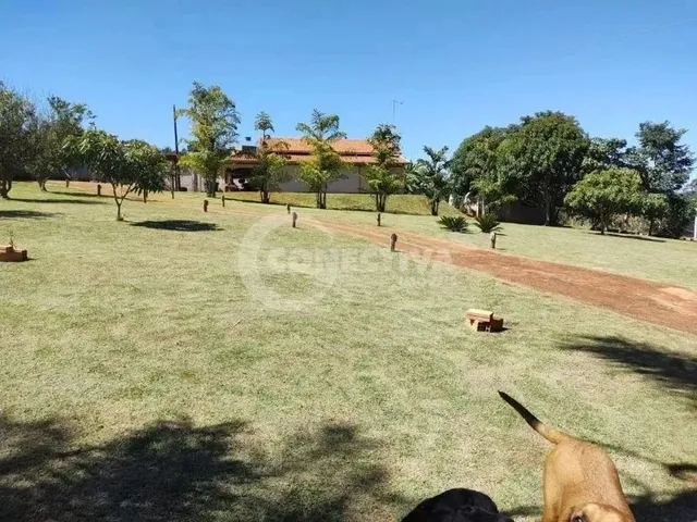 Imagem 12: Rural Fazenda / sítio com 3 dormitórios