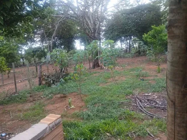 Imagem 5: Chácara 4 Km de Bonfinópolis, 3300M²