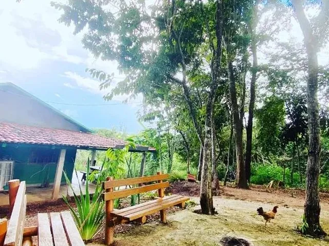 Imagem 13: Chácara em Caldazinha com 24.000 M2