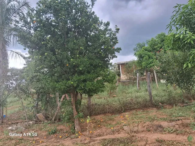 Imagem 14: Vende Se Chácara com venda por R$300.000