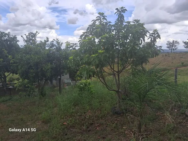 Imagem 15: Vende Se Chácara com venda por R$300.000
