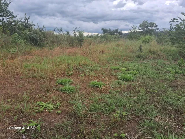Imagem 5: Vende Se Chácara com venda por R$300.000