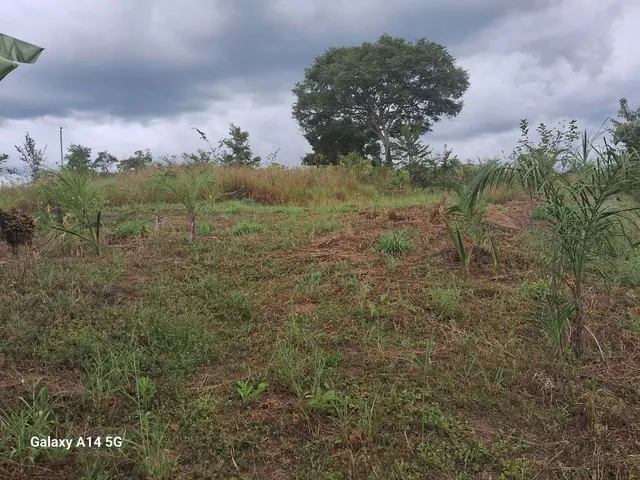 Imagem 7: Vende Se Chácara com venda por R$300.000