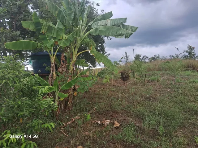 Imagem 8: Vende Se Chácara com venda por R$300.000