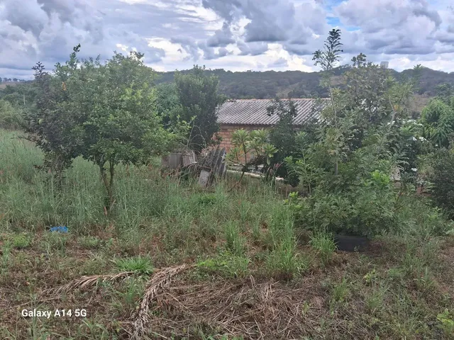Imagem 9: Vende Se Chácara com venda por R$300.000