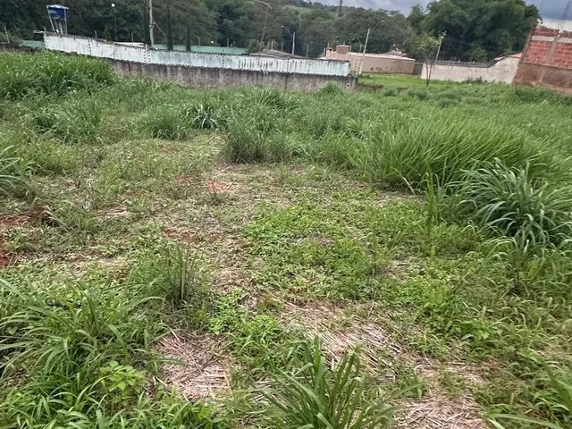 Imagem 3: Vende-Se Ágio de Lote no Setor Maurivan Pucci