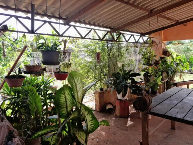 Imagem 5: Chácara 4.500M2 - Diversas Benfeitorias