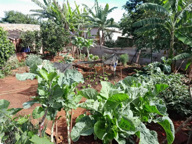Imagem 8: Chácara 4.500M2 - Diversas Benfeitorias