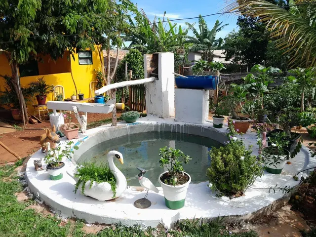 Imagem 9: Chácara 4.500M2 - Diversas Benfeitorias