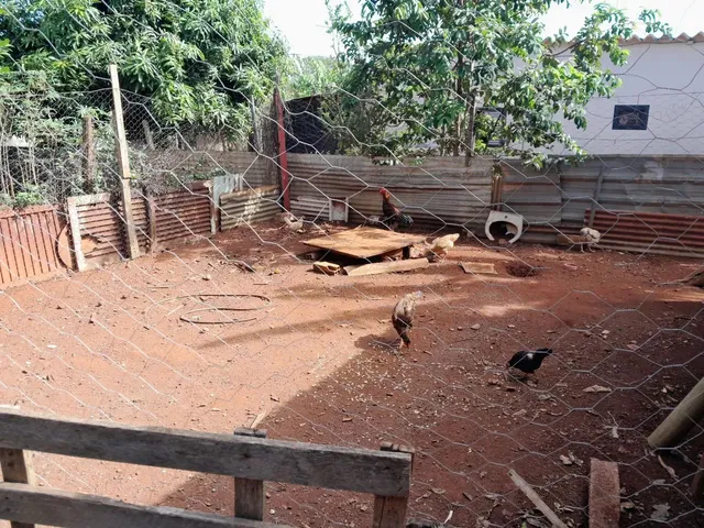 Imagem 11: Chácara 4.500M2 - Diversas Benfeitorias