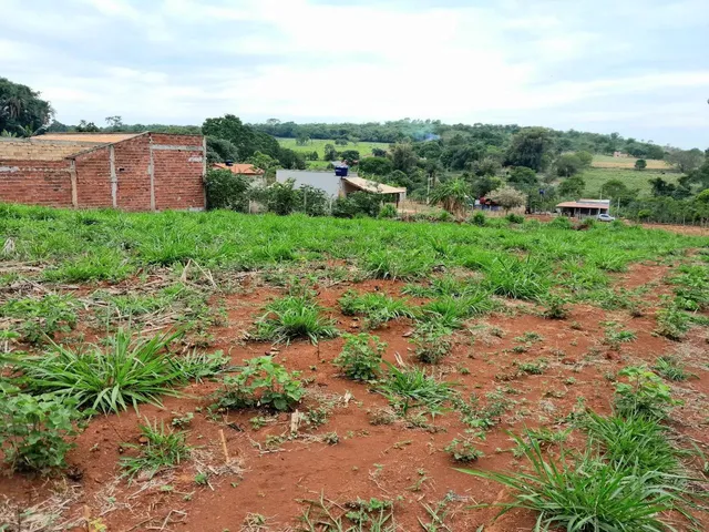 Imagem 3: Chácara À 02 Km da Cidade de Bonfinópolis-Go