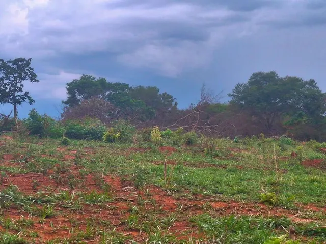 Imagem 2: 2 Alqueires de Terra
