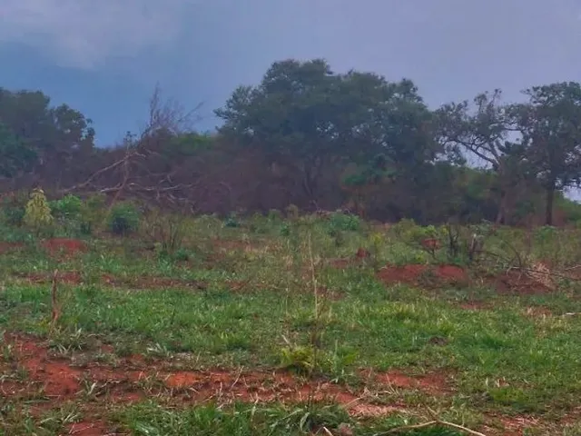 Imagem 3: 2 Alqueires de Terra