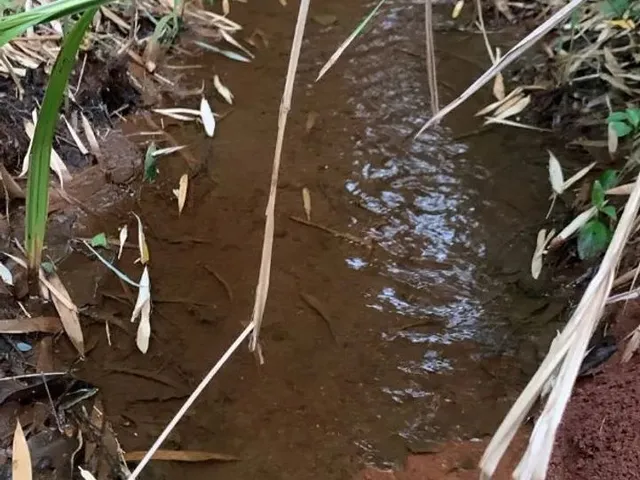 Imagem 4: 2 Alqueires de Terra