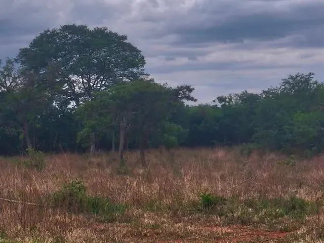 Imagem 6: 2 Alqueires de Terra