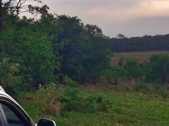 Imagem 8: 2 Alqueires de Terra