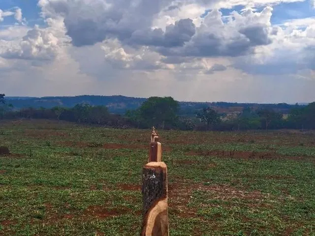Imagem 10: 2 Alqueires de Terra