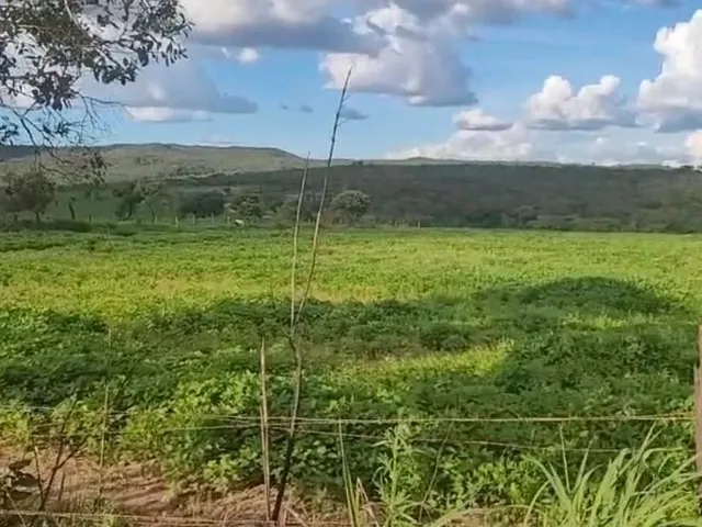 Imagem: Alqueiro Próximo Nova Fátima