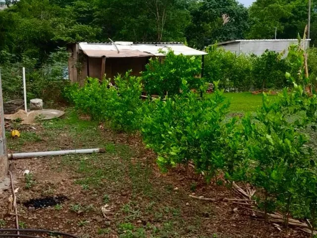 Imagem 3: Chácara Proximo Aragoiânia
